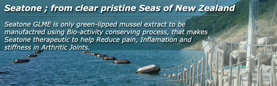 green lipped mussel farm